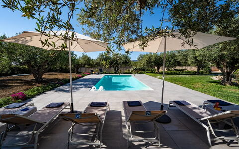 Villa Virginia: Swimming Pool, Outdoor Furniture, Furniture, Chair, Resort, Shade, Umbrella, Sunlounger, Outdoor Table, Leisure