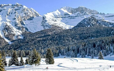 Carlotta: Snow, Mountain, Sky, Mountainous Landforms, Winter, Tree, Mountain Range, Terrain, Highland, Glacial Landform