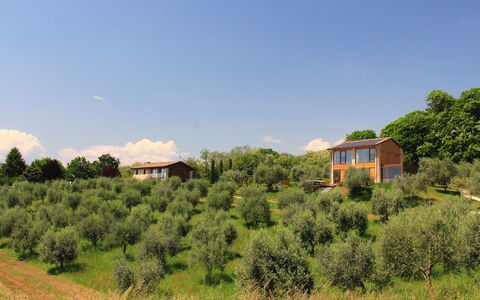 Villa Montello Pool, Jacuzzi, Ac, Wifi, Treviso: Tree, Grass, Shrub, House, Rural Area, Land Lot, Home, Plant Community, Cottage