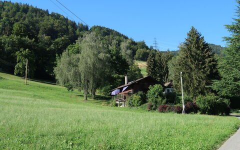 Saci: Grass, Green, Tree, Grassland, Summer, Plain, Landscape, Land Lot, Shrub, Rural Area
