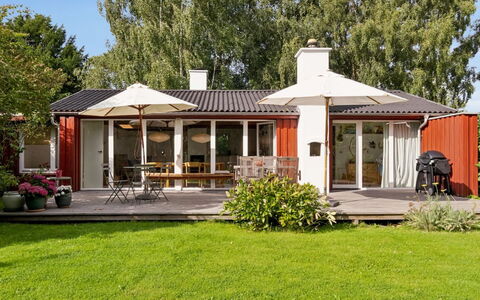 Lauri - 2.3Km from the Sea: Vegetation, Shrub, Spring, Cottage, Garden, Shade, Backyard, Yard, Chair