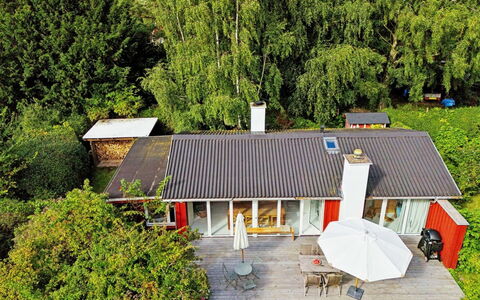 Lauri - 2.3Km from the Sea: Vegetation, Shrub, Spring, Cottage, Garden, Shade, Backyard, Yard, Chair