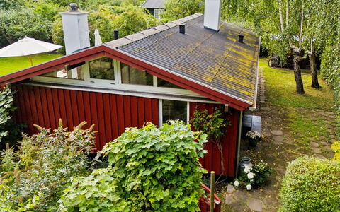 Lauri - 2.3Km from the Sea: Vegetation, Shrub, Spring, Cottage, Garden, Shade, Backyard, Yard, Chair