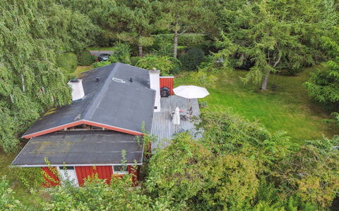 Lauri - 2.3Km from the Sea: Vegetation, Shrub, Spring, Cottage, Garden, Shade, Backyard, Yard, Chair
