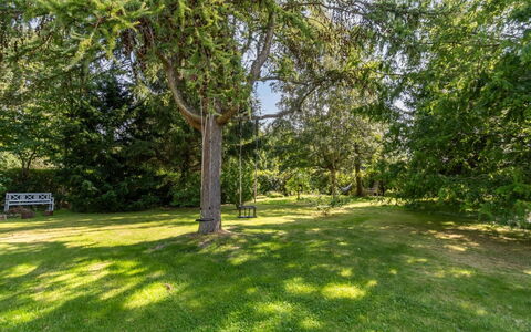 Lauri - 2.3Km from the Sea: Vegetation, Shrub, Spring, Cottage, Garden, Shade, Backyard, Yard, Chair