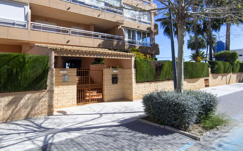 Oasis: Apartment, Condominium, Hotel