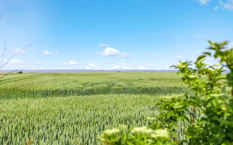 Freja - 12Km from the Sea: Estate, Shade, Driveway, Farmhouse