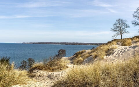 Terttu - 250M from the Sea: Wood, Home, Porch, Deck, Hardwood, Roof, Wood Stain, Wood Flooring, Eco Hotel