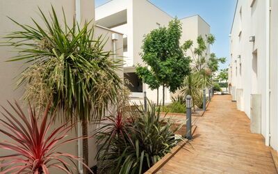 La Dune