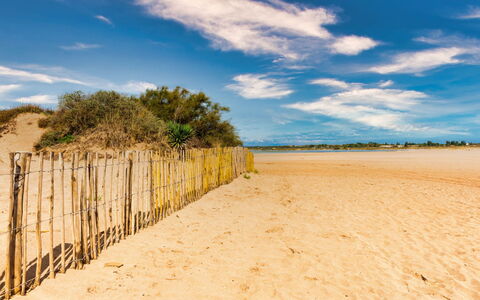 La Dune: Sky, Blue, Daytime, Natural Environment, Horizon, Beach, Cloud, Sand, Ecoregion, Summer