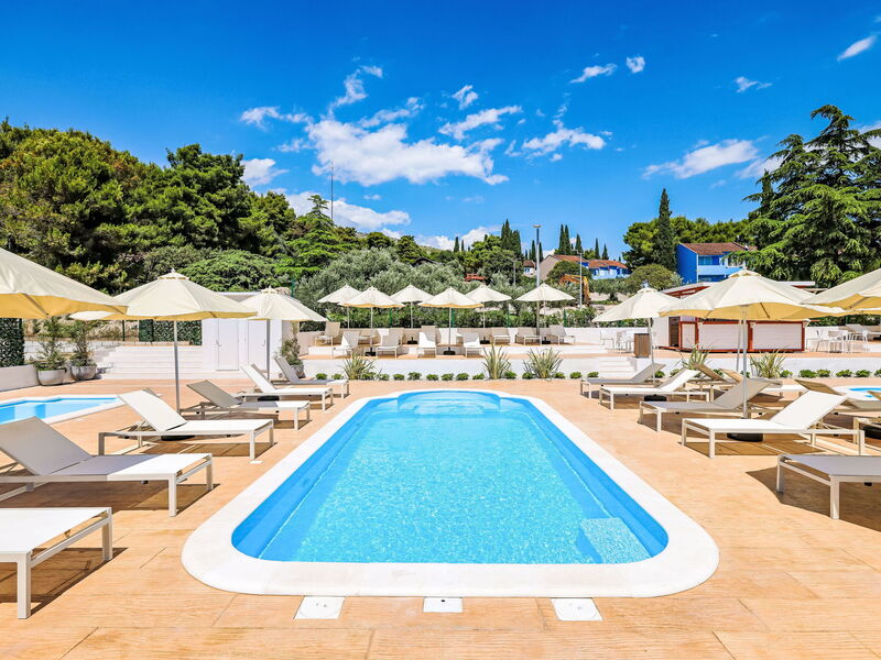 Accommodation:&nbsp;Medena 253.3