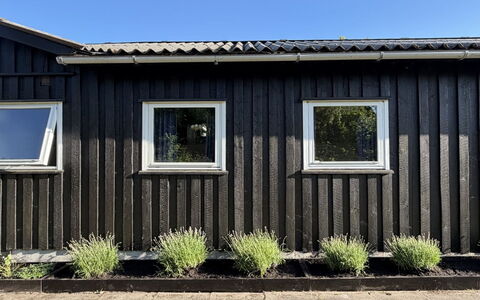 Hælf - 600M from the Sea: Wood, Composite Material, Siding, Hardwood, Plank, Daylighting