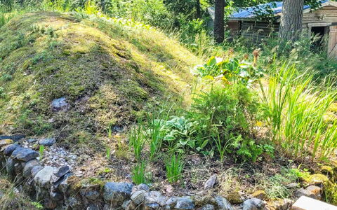 Kelokki: Vegetation, Shrub, Plant Community, Groundcover, Garden, Soil, Herbaceous Plant, Landscaping, Backyard