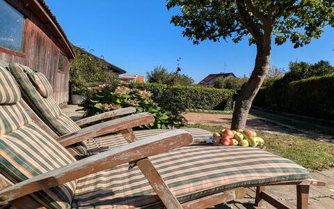 Taja - 170M from the Sea: Furniture, Outdoor Furniture, Wood, Chair, Garden, Shade, Outdoor Table, Groundcover, Sunlounger, Hardwood