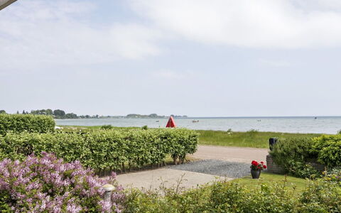 Cornelius - 30M from the Sea: Coast, Shore, Landscaping, Hedge