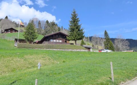 Chalet Träumli: Grass, Tree, Grassland, House, Rural Area, Hill, Highland, Landscape, Plain