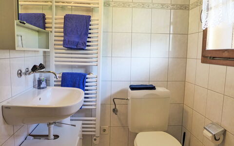 Chalet Träumli: Bathroom, Plumbing Fixture, Toilet Seat, Toilet, Bathroom Sink, Sink, Flooring, Floor, Interior Design, Tap
