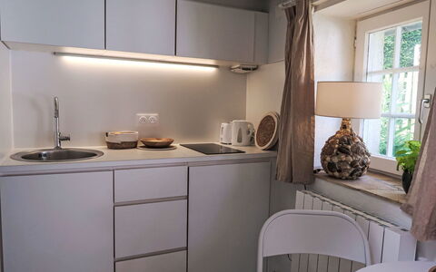 Gwenn Tiny House: Kitchen, Interior Design, Countertop, Kitchen Appliance, Plumbing Fixture, Cabinetry, Sink, Furniture, Kitchen Sink, Room