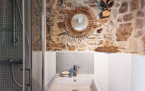 Gwenn Tiny House: Wall, Plumbing Fixture, Interior Design, Flooring, Bathroom, Floor, Lighting, Room, Ceiling, Mirror