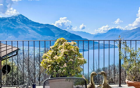Buongusto: Apartment, Furniture, Residential Area, Balcony, Condominium, Chair, Shade, Resort, Coast, Hotel