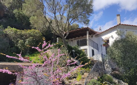 Belvedere Apartment Ac, Budoni: Tree, Branch, Vegetation, Shrub, Spring, Twig, Garden, Blossom, Balcony
