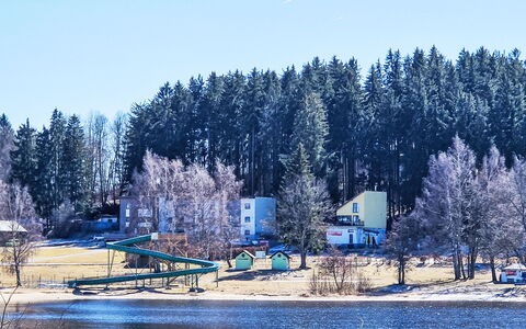 Lakeview Luxury Lodge & Garden: Tree, Winter, Snow, Freezing, Larch, Evergreen, Pine Family