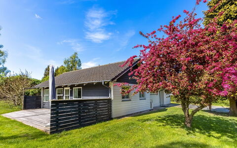 Prohor - 150M from the Sea: Home, Cottage, Siding, Hardwood, Shade, Plank, Design, Estate, Porch, Deck