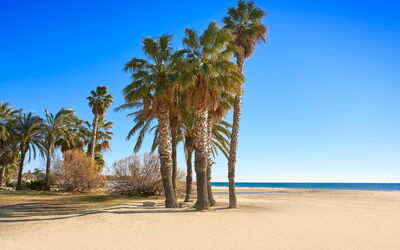 Cambrils 643: Blue, Beach, Summer, Landscape, Sand, Coast, Trunk, Sea, Tropics, Coastal And Oceanic Landforms