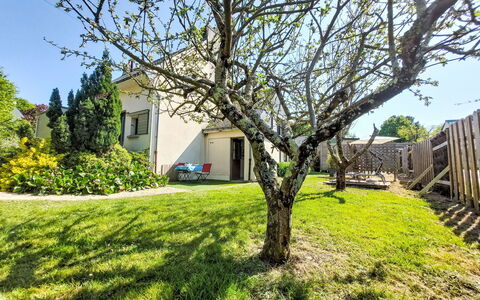 Charme de Banastère: Branch, Shrub, Garden, Spring, Lawn, Sunlight, Woody Plant, Shade, Yard, Landscaping