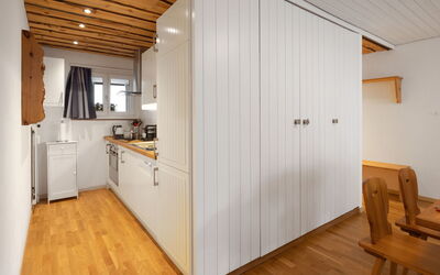 Accommodation:&nbsp;Seewiese Apt. 204 690.1