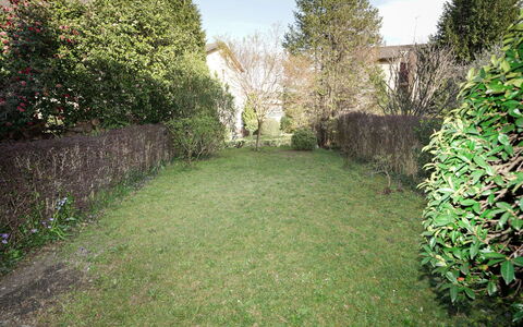 Re.ri: Grass, Shrub, Groundcover, Garden, Lawn, Backyard, Woody Plant, Hedge, Landscaping