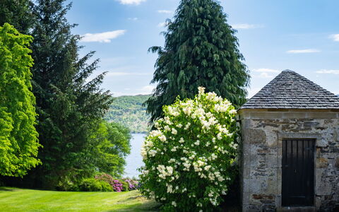 Farmburn Bothy: Green, Leaf, Flower, Vegetation, Shrub, Garden, Spring, Groundcover, Landscaping, Botanical Garden