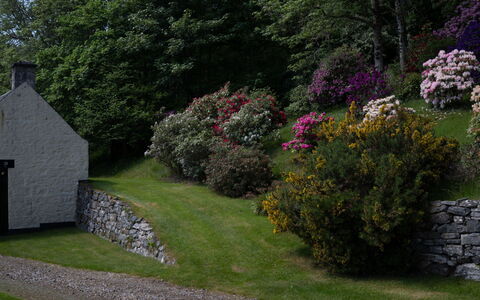 Farmburn Bothy: Grass, Leaf, Shrub, Landscape, Garden, Plant Community, Cottage, Groundcover, Stone Wall