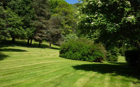 Farmburn Bothy: Green, Grass, Tree, Natural Environment, Leaf, Nature, Shrub, Natural Landscape, Grassland, Garden