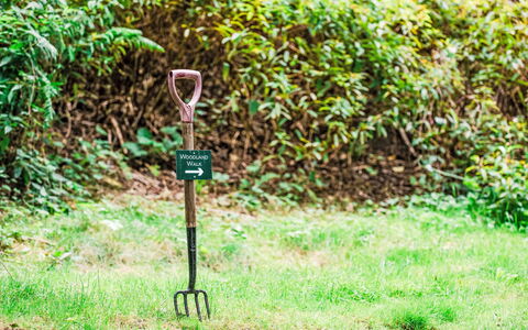 Farmburn Bothy: Green, Plant Community, Garden, Groundcover, Soil, Herbaceous Plant, Lawn