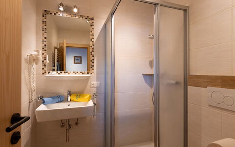 Niederau 26: Bathroom, Interior Design, Plumbing Fixture, Wall, Flooring, Floor, Wood, Bathroom Sink, Mirror, Sink