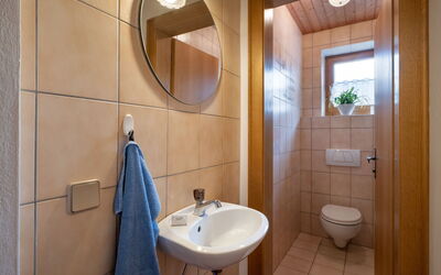 Accommodation:&nbsp;Daniela 26.5