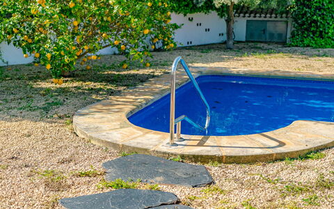 Mar Blanco: Residential Area, Shrub, Roof, Home, Cottage, Driveway, Estate, Siding, Landscaping, Yard