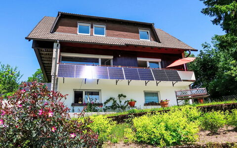 Blackforest Birdnest: Building, House, Shrub, Roof, Home, Residential Area, Cottage, Land Lot, Spring