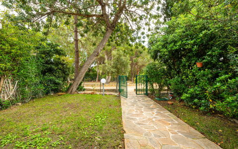 Casa ai Mandorli: Leaf, Vegetation, Shrub, Garden, Trail, Shade, Spring, Walkway, Woody Plant, Sunlight