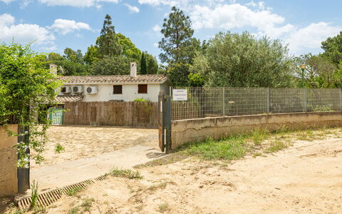 Casa ai Mandorli: Tree, Rural Area, Land Lot, Fence, Village, Estate, Soil, Home Fencing, Backyard, Farmhouse