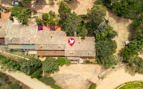 Casa ai Mandorli: Tree, Landscape, Residential Area, Bird'S-Eye View, Garden, Landscaping, Aerial Photography, Estate, Suburb, Village