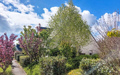 Les Demeures du Parc: Leaf, Branch, Vegetation, Shrub, Garden, Plant Community, Spring, Groundcover, Woody Plant, Twig