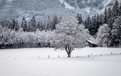 Saalfelden am Steinernen Meer 24