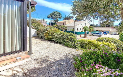 La Coustelline: Shrub, Home, Garden, Groundcover, Landscaping, Estate, Yard, Shade, Driveway