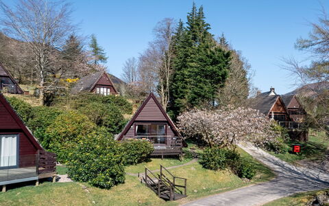 Sandpiper Lodge: Leaf, Vegetation, Shrub, House, Cottage, Rural Area, Home, Garden, Slope