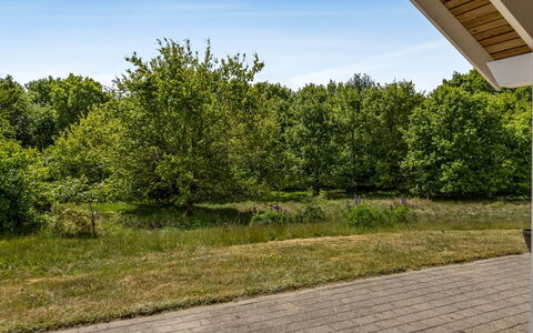Truels - 30Km from the Sea: Green, Leaf, Branch, Vegetation, Shrub, Plain, Garden, Woody Plant, Sunlight, Lawn
