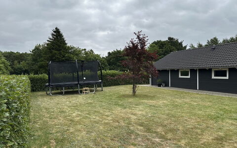 Truels - 30Km from the Sea: Grass, Lawn, Garden, Shade, Backyard, Yard, Landscaping, Garden Buildings, Park, Shed