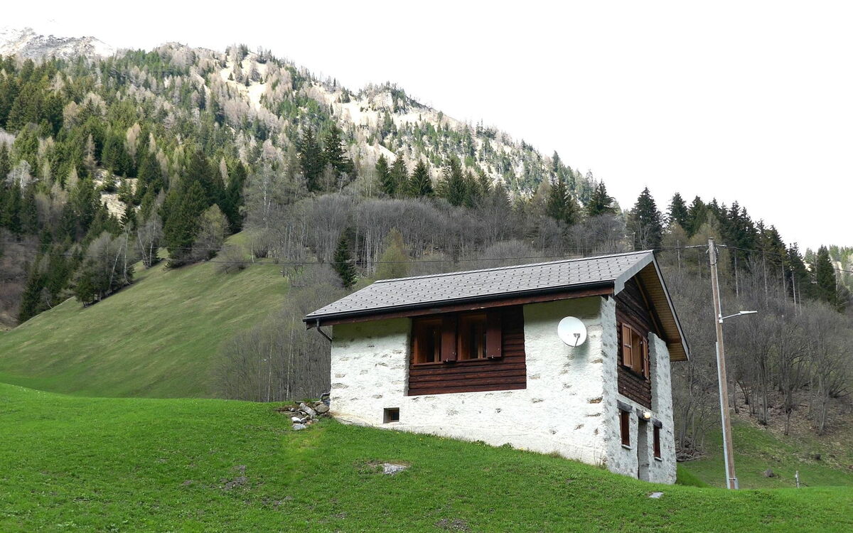 Rustico Carcarida
