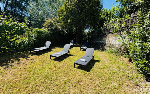 Cottage Wisteria: Green, Leaf, Vegetation, Shrub, Garden, Outdoor Furniture, Groundcover, Sunlight, Shade, Lawn